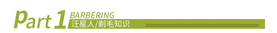 汪星人剃毛知識