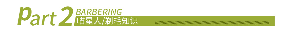 喵星人剃毛知識